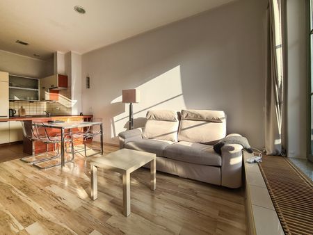 Apartament wynajem Poznań City Park Grunwald - Zdjęcie 2