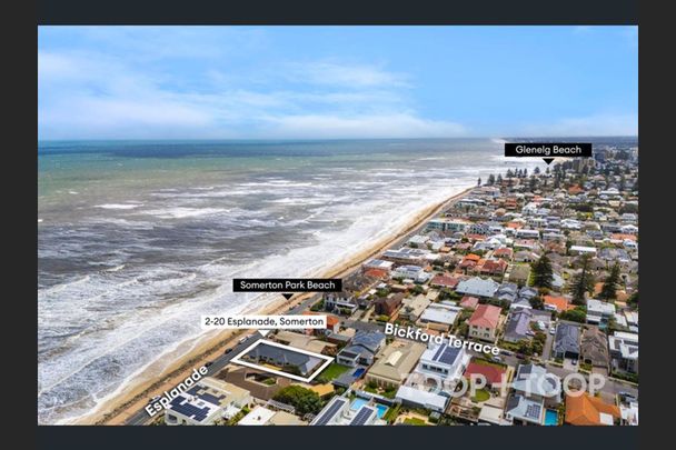 Comfortable & Convenient Unit Right on the Beach! - 6 Month Lease Available - Photo 1