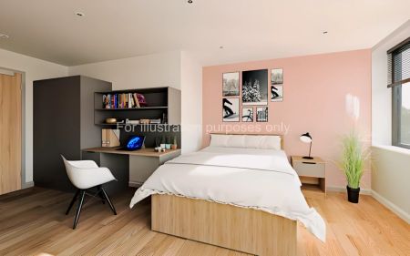 Large Premium Studio - Photo 2