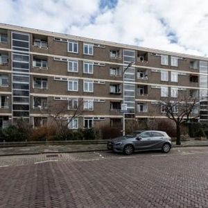 Paramaribostraat, 2315 Leiden, Nederland - Foto 2