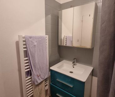 Location Appartement 1 pièce Meublé 22m² BREST 29200 - Photo 2