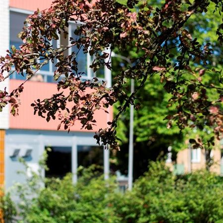 Tvärgatan 5 - Photo 4