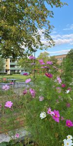 Hålsjögatan 41, Bellevuegården - Photo 3