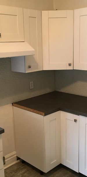 Très grand 4 1/2 Plateau Mont-Royal - Photo 1