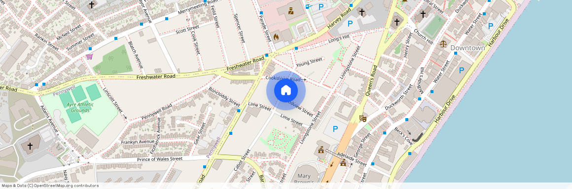 15 Cabot Street, A1C1Z3, St. John'S