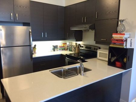 For Lease - 8228 Birchmount Road Unit# 205, Markham, Ontario - Photo 4