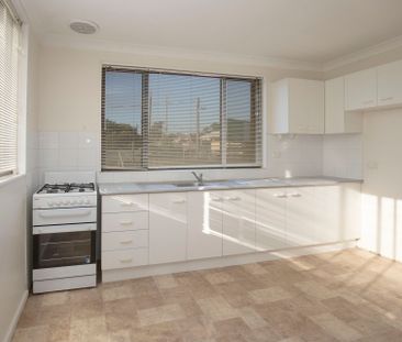 Neat 2 bedroom Unit - **Entrance is through Ewart Lane** - Photo 5