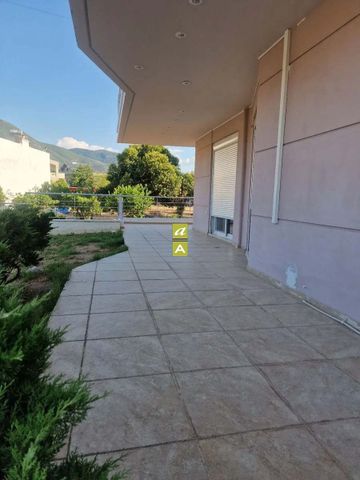 Διαμέρισμα για ενοικίαση Μπεγουλάκι (Πάτρα) - Φωτογραφία 4
