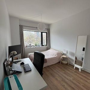 4 1/2 Cession de bail Laurier / Mile end - Photo 2