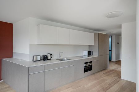 Brandschenkestrasse 177 - Foto 5