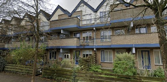 Antilopespoor, 348 - Photo 2