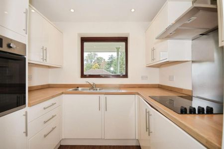 1 bedroom bungalow to rent - Photo 5