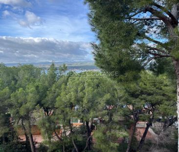 Location Appartement 1 pièce 28m² ST CYR SUR MER 83270 - Photo 6