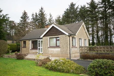 27 Strabane Road, Newtownstewart, BT78 4JY - Photo 4