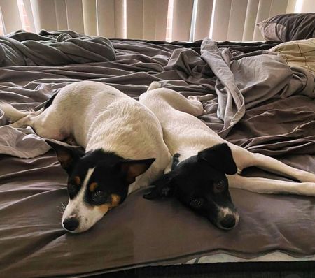 Woodville West - Photo 4