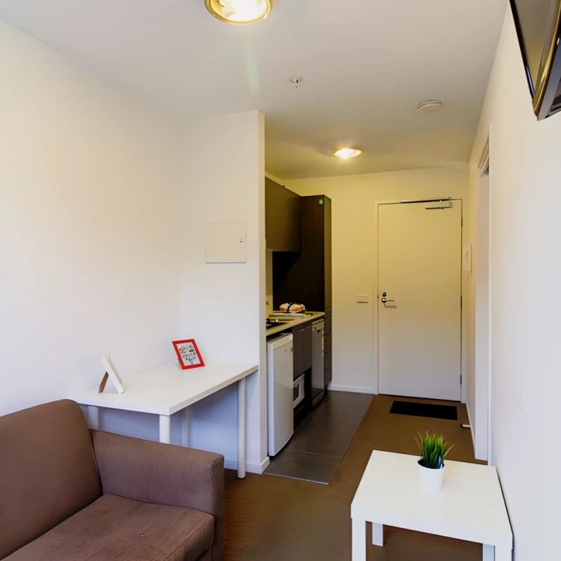Medium 1 Bedroom - Photo 1