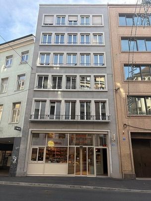 Neu sanierte 2 Zimmer Wohnung im Herzen von Basel! - Foto 1