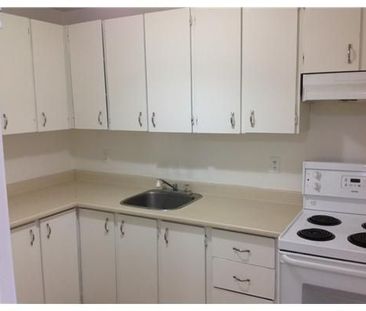 For Lease - 1785 RIVERSIDE Drive Unit# 1610, Alta Vista and Area, O... - Photo 3