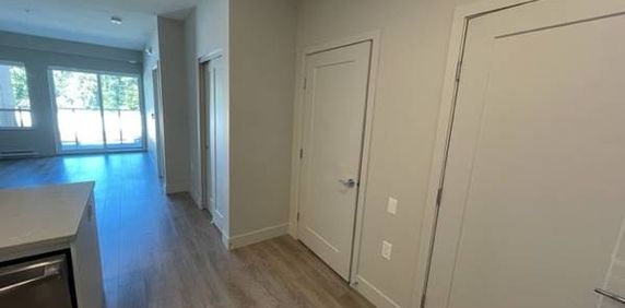 Modern 1BR/In suite laundry/SS appliances/On site management/No pets - Photo 2