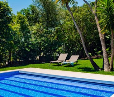 Rua Dom Afonso Henriques 1556 - Photo 6