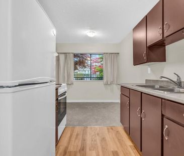 Maple Manor Apartments - Photo 4