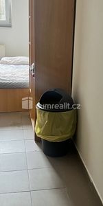 Pronájem bytu 1+kk a garsoniéry 15 m² - Photo 4