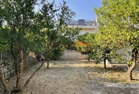 Μονοκατοικία για ενοικίαση Κάτω Κηφισιά (Κηφισιά) - Photo 4