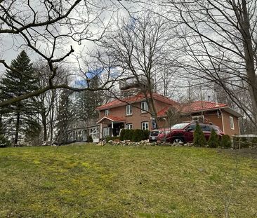 Central Barrie: Newly Renovated 1 Bed, 1 Bath Unit, Wellington St. ... - Photo 6