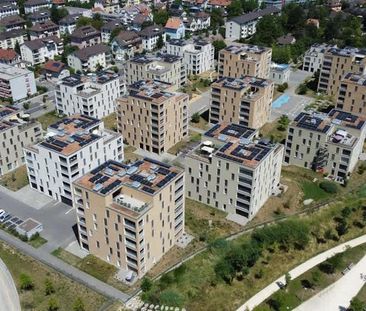 2.5 Zimmer, 62 m², EG - Foto 3