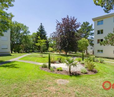 Location Appartement 4 pièces 73m² ST MICHEL SUR ORGE 91240 - Photo 6