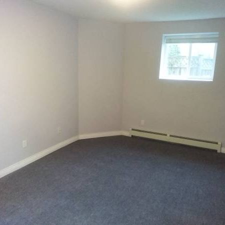 2 bedroom/1 bathroom basement suite(139 street & 58A Ave). - Photo 3