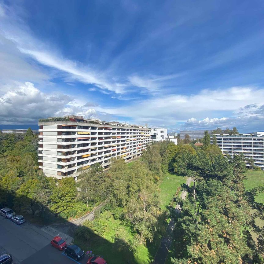 3 Zimmer, 115 m², 7. Stock - Foto 1