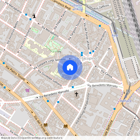 Via Gioacchino Rossini, Centro Storico, Firenze, Firenze, 50144, Toscana