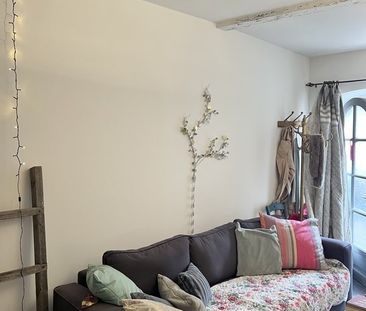 Duplex/Triplex - Photo 3