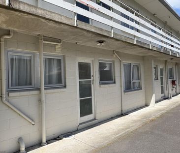 Tidy Flat in Hamilton East - Photo 4