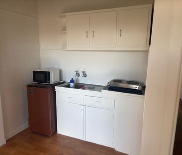 Freshly Painted 1 Bedroom Unit - Photo 4