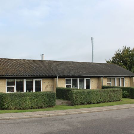 Skovsgård - Photo 4