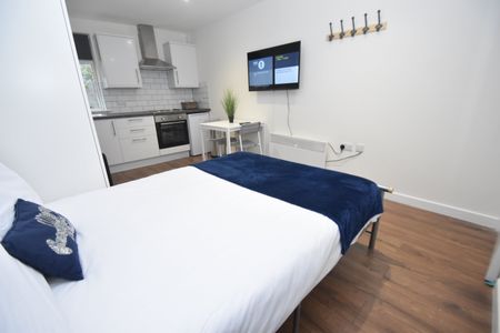 1 bed studio flat to rent in Cathays Terrace, Cathays, CF24 - Photo 4