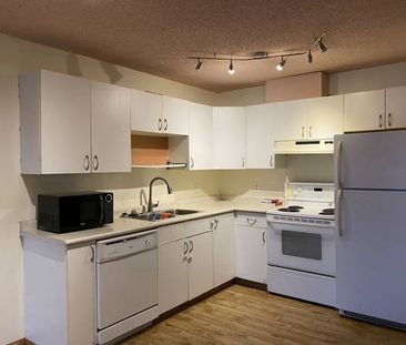 2-Bedroom Suite with in-unit Laundry near Stadium Edmonton LRT Station - Photo 2