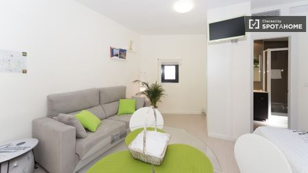 madrid, Community of Madrid 28005 - Photo 3