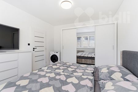 Pronájem, byt 2+1 s lodžií, Sídliště U Nového nádraží, Bílina - Photo 4