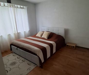 8952 Schlieren - Photo 4