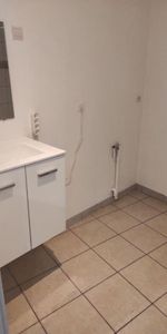 Location Appartement 3 pièces 60m² SALLAUMINES 62430 - Photo 4