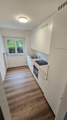 Grosszügige, frisch renovierte 4.5-Zimmer-Parterrewohnung mit Balkon - Photo 2