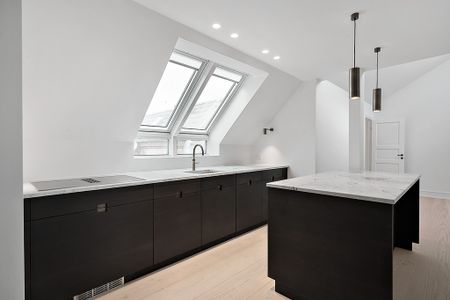 Enestående penthouse med tagterrasse - Photo 5