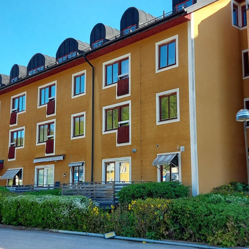 Beskrivning - Foto 2