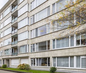 Appartement te huur in Wilrijk voor € 1.195 met 3 slaapkamers - Foto 3