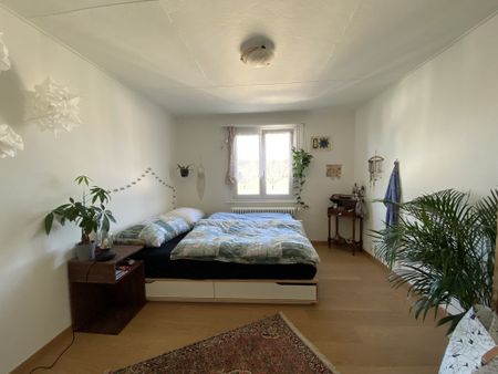 Rent a 2 rooms apartment in Olten - Foto 4