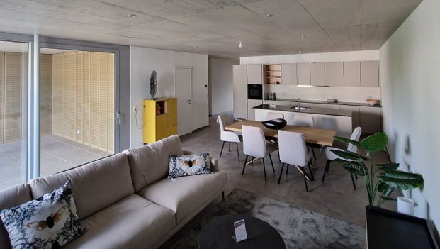 3.5 Zimmer, 94 m², 1. Stock - Foto 1