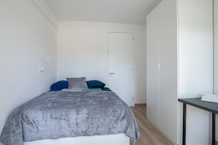 Meander 557 - Foto 4